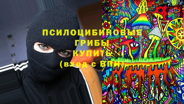 бутират Белокуриха