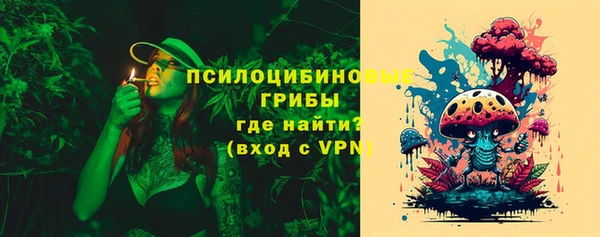 бутират Белокуриха