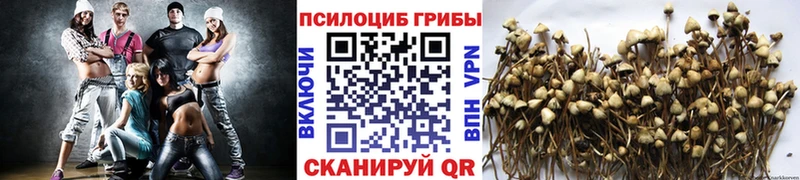 даркнет какой сайт Касимов Галлюциногенные грибы мицелий